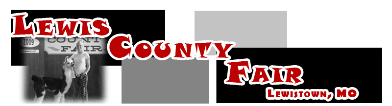 Lewis County Fair Website Banner